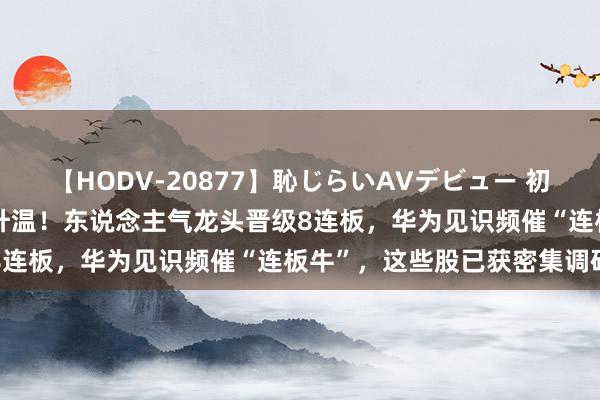 【HODV-20877】恥じらいAVデビュー 初セックス4時間 短线豪情升温！东说念主气龙头晋级8连板，华为见识频催“连板牛”，这些股已获密集调研