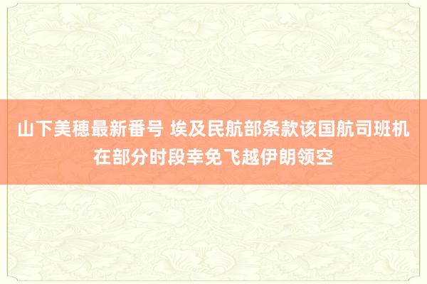山下美穂最新番号 埃及民航部条款该国航司班机在部分时段幸免飞越伊朗领空