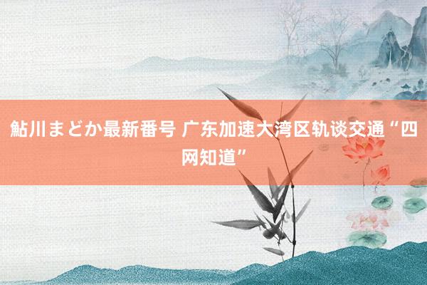 鮎川まどか最新番号 广东加速大湾区轨谈交通“四网知道”