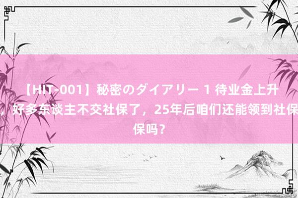 【HIT-001】秘密のダイアリー 1 待业金上升3%，好多东谈主不交社保了，25年后咱们还能领到社保吗？