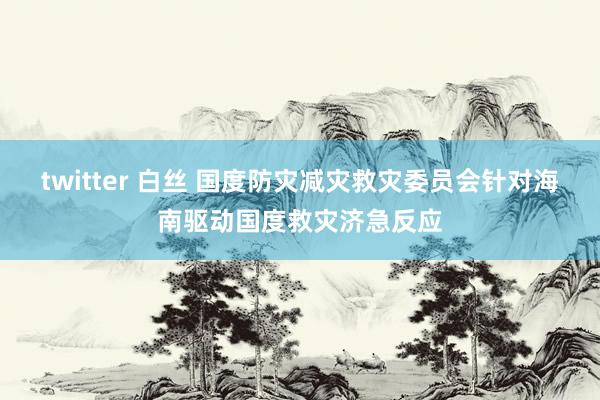 twitter 白丝 国度防灾减灾救灾委员会针对海南驱动国度救灾济急反应