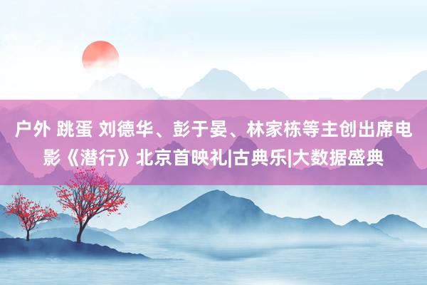 户外 跳蛋 刘德华、彭于晏、林家栋等主创出席电影《潜行》北京首映礼|古典乐|大数据盛典