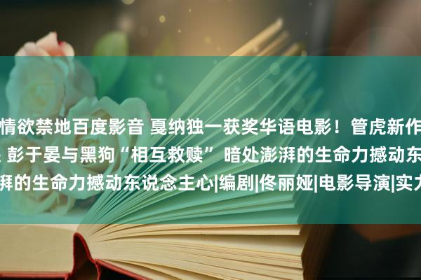情欲禁地百度影音 戛纳独一获奖华语电影！管虎新作《狗阵》6月15日上映 彭于晏与黑狗“相互救赎” 暗处澎湃的生命力撼动东说念主心|编剧|佟丽娅|电影导演|实力派演员