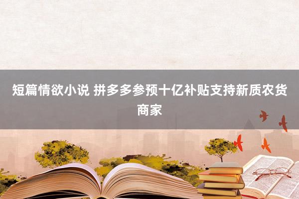 短篇情欲小说 拼多多参预十亿补贴支持新质农货商家