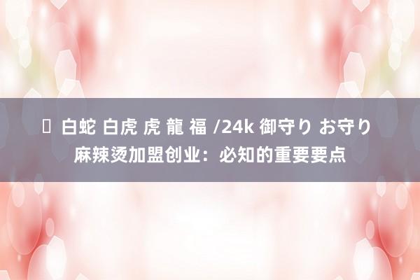 ✨白蛇 白虎 虎 龍 福 /24k 御守り お守り 麻辣烫加盟创业：必知的重要要点