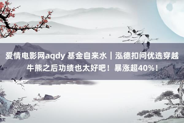 爱情电影网aqdy 基金自来水｜泓德扣问优选穿越牛熊之后功绩也太好吧！暴涨超40%！