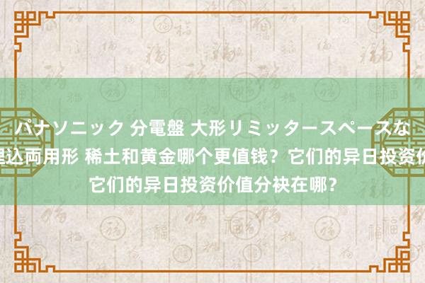 パナソニック 分電盤 大形リミッタースペースなし 露出・半埋込両用形 稀土和黄金哪个更值钱？它们的异日投资价值分袂在哪？