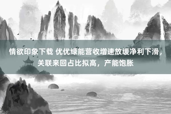 情欲印象下载 优优绿能营收增速放缓净利下滑，关联来回占比拟高，产能饱胀