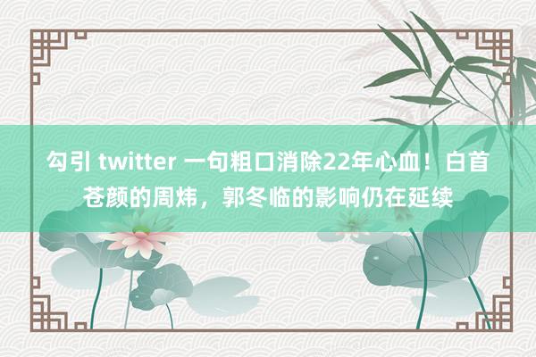 勾引 twitter 一句粗口消除22年心血！白首苍颜的周炜，郭冬临的影响仍在延续