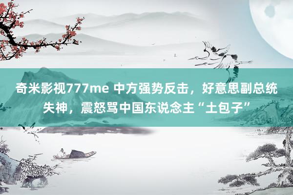 奇米影视777me 中方强势反击，好意思副总统失神，震怒骂中国东说念主“土包子”
