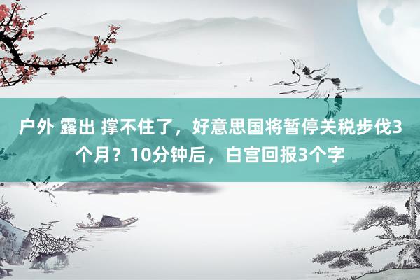户外 露出 撑不住了，好意思国将暂停关税步伐3个月？10分钟后，白宫回报3个字