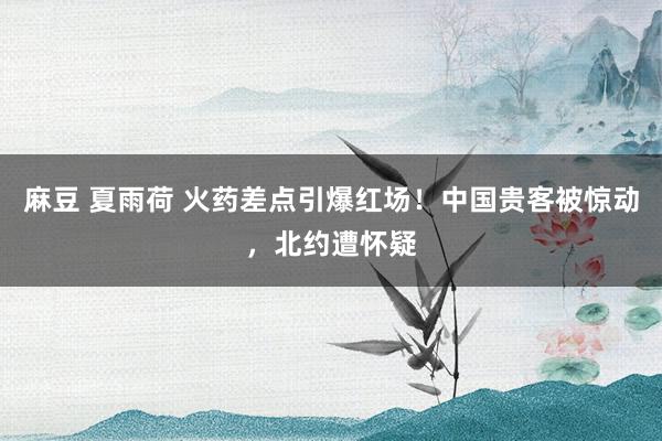 麻豆 夏雨荷 火药差点引爆红场！中国贵客被惊动，北约遭怀疑
