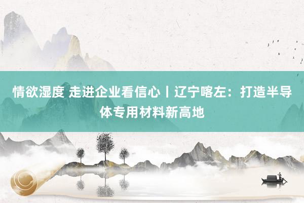 情欲湿度 走进企业看信心丨辽宁喀左：打造半导体专用材料新高地