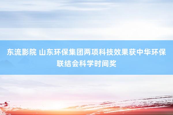 东流影院 山东环保集团两项科技效果获中华环保联结会科学时间奖
