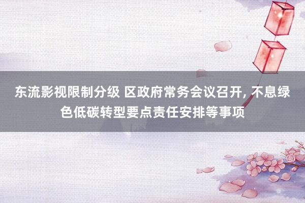 东流影视限制分级 区政府常务会议召开, 不息绿色低碳转型要点责任安排等事项