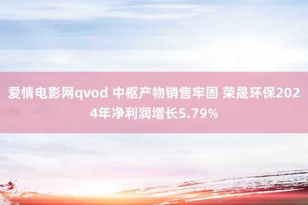 爱情电影网qvod 中枢产物销售牢固 荣晟环保2024年净利润增长5.79%