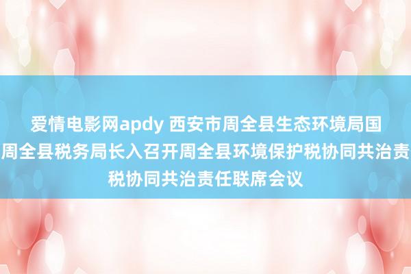 爱情电影网apdy 西安市周全县生态环境局国度税务总局周全县税务局长入召开周全县环境保护税协同共治责任联席会议