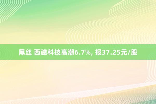 黑丝 西磁科技高潮6.7%, 报37.25元/股