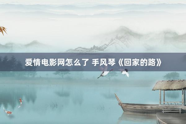 爱情电影网怎么了 手风琴《回家的路》