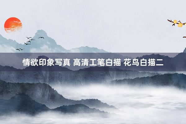 情欲印象写真 高清工笔白描 花鸟白描二