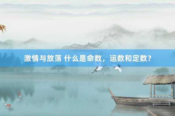 激情与放荡 什么是命数，运数和定数？