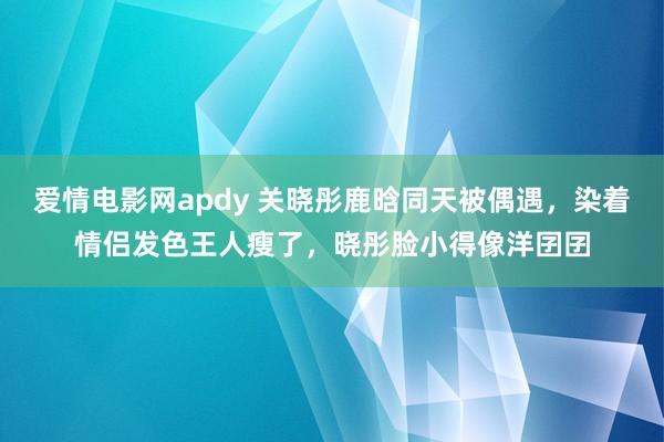爱情电影网apdy 关晓彤鹿晗同天被偶遇，染着情侣发色王人瘦了，晓彤脸小得像洋囝囝